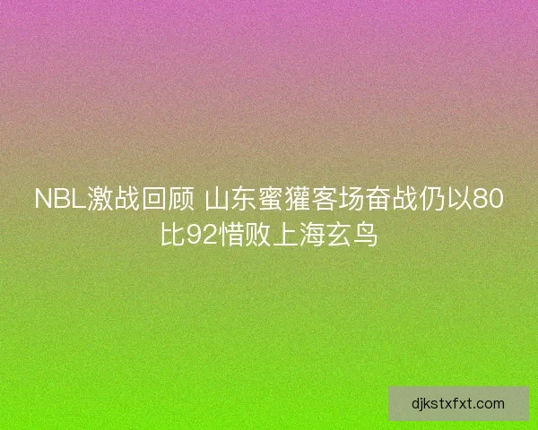 NBL激战回顾 山东蜜獾客场奋战仍以80比92惜败上海玄鸟